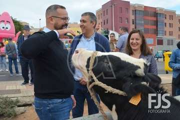 Los Llanos de Telde, en el día grande de sus fiestas patronales de 2019 (Foto Francisco Javier Santana)